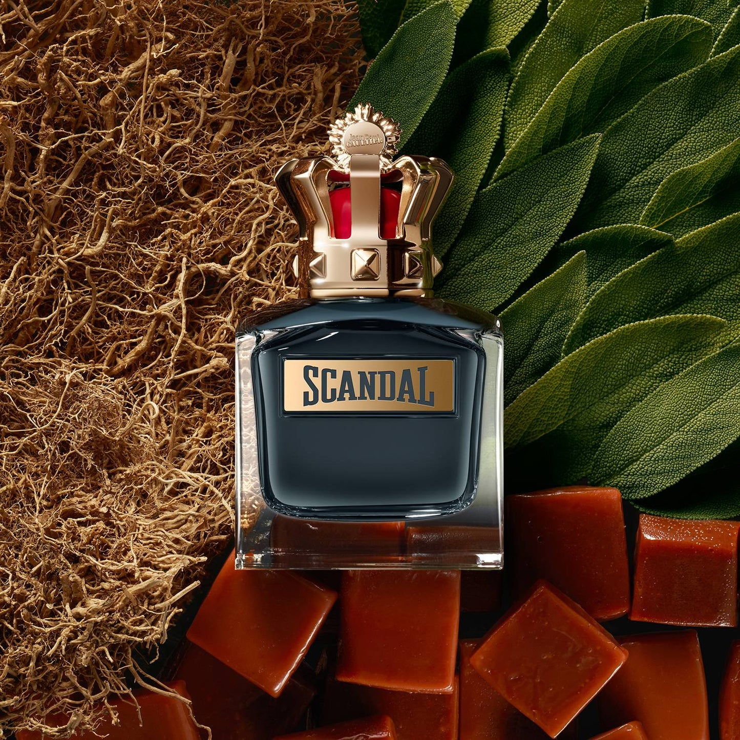 Scandal Pour Homme Jean Paul Gaultier para Hombres