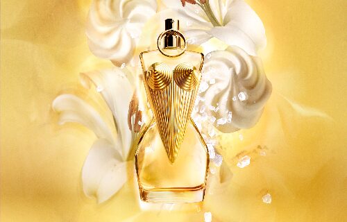 Gaultier Divine Jean Paul Gaultier para Mujeres 100 Ml